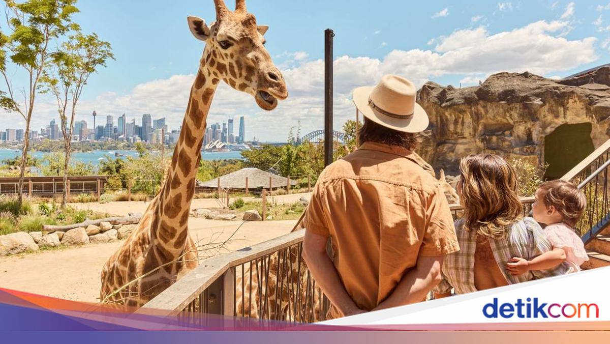 Ini Rencana 8 Hari Berlibur bersama Keluarga di Sydney & New South Wales