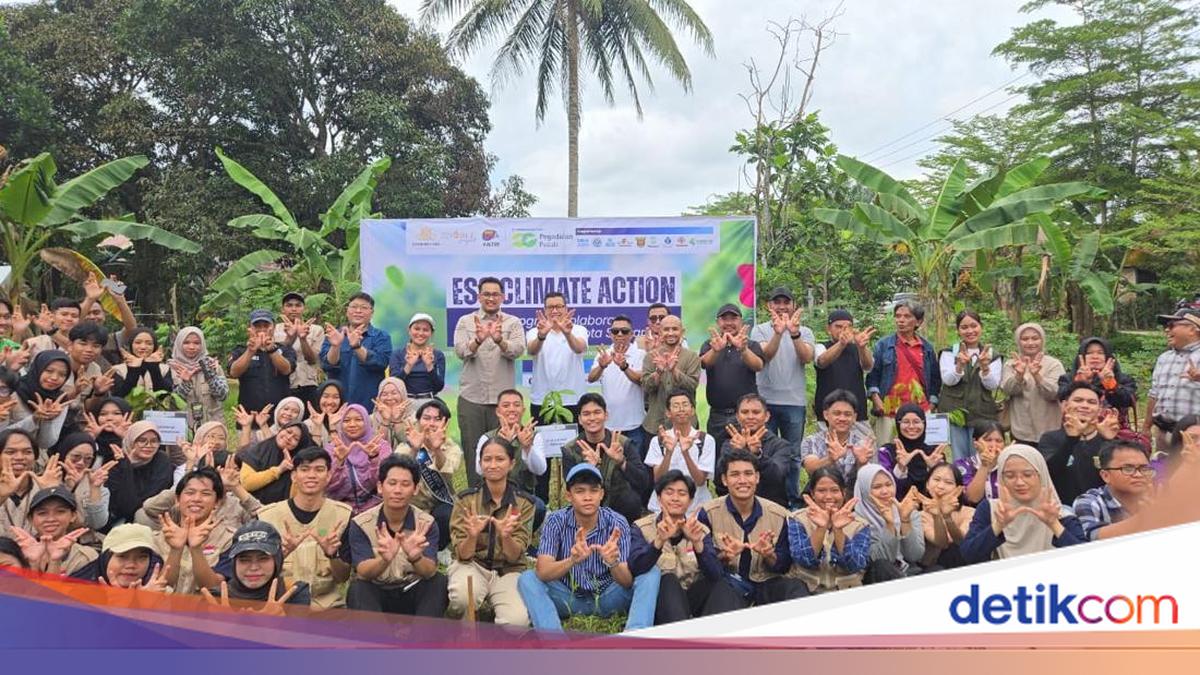 Dorong Kolaborasi Hijau, Pegadaian Dukung Program 2.000 Pohon di Kaltim