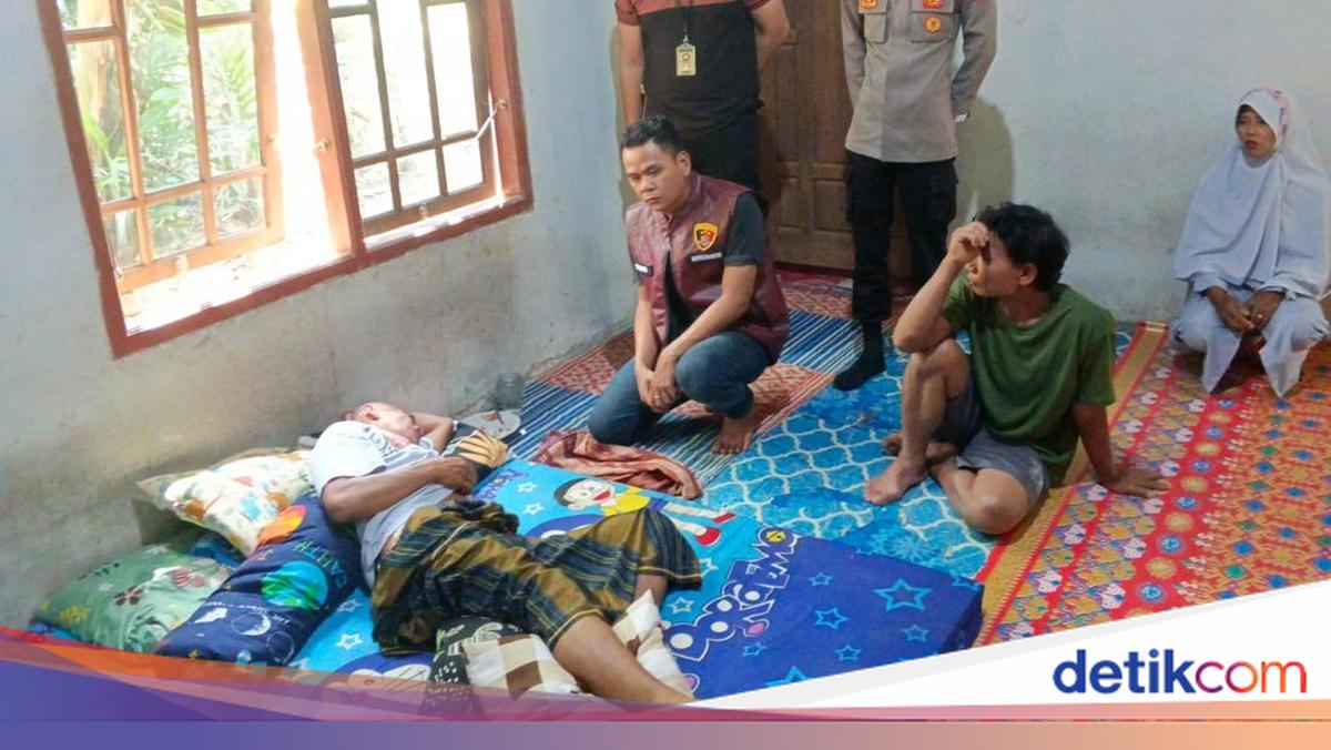 Petani di Sumsel Diserang Beruang Saat Berkebun, Pinggang dan Paha Robek