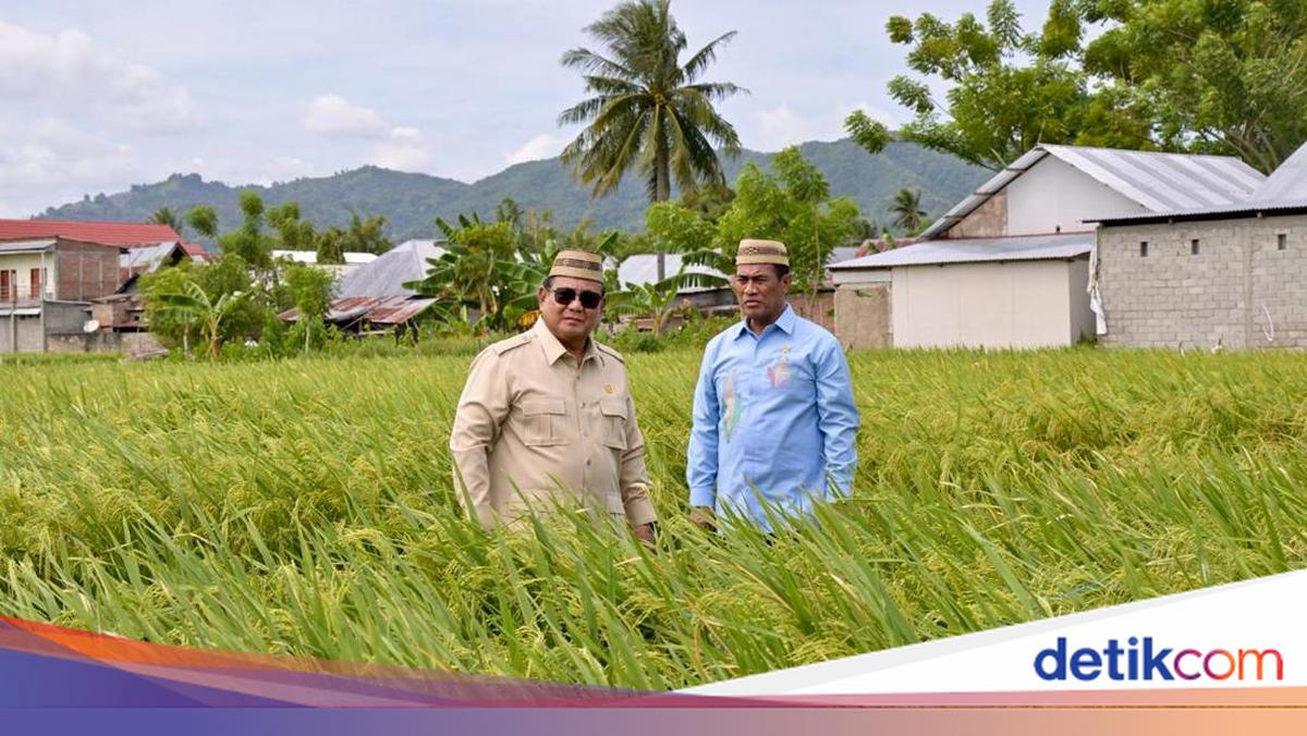Prabowo: Tak Lama Lagi Kita Jadi Lumbung Padi Dunia