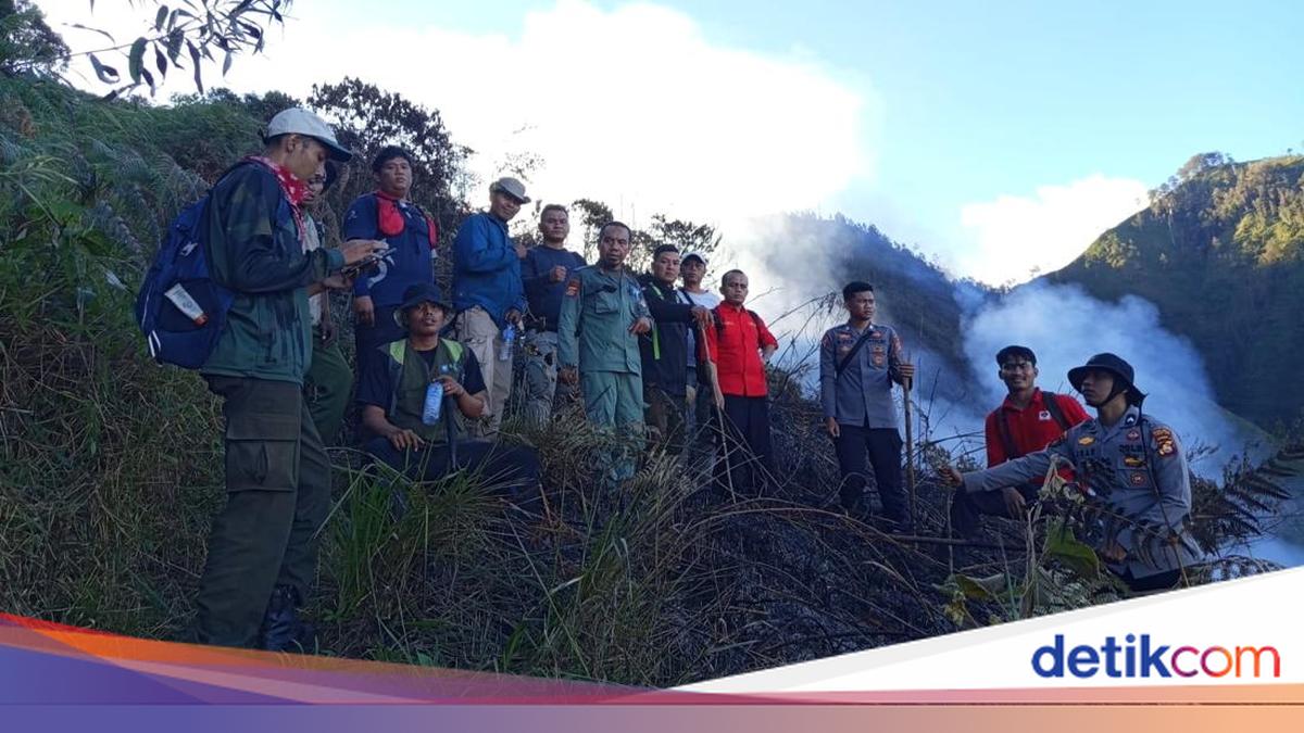 66 Hektare Bukit Pal Jepang di Lombok Timur Terbakar, Api Belum Padam