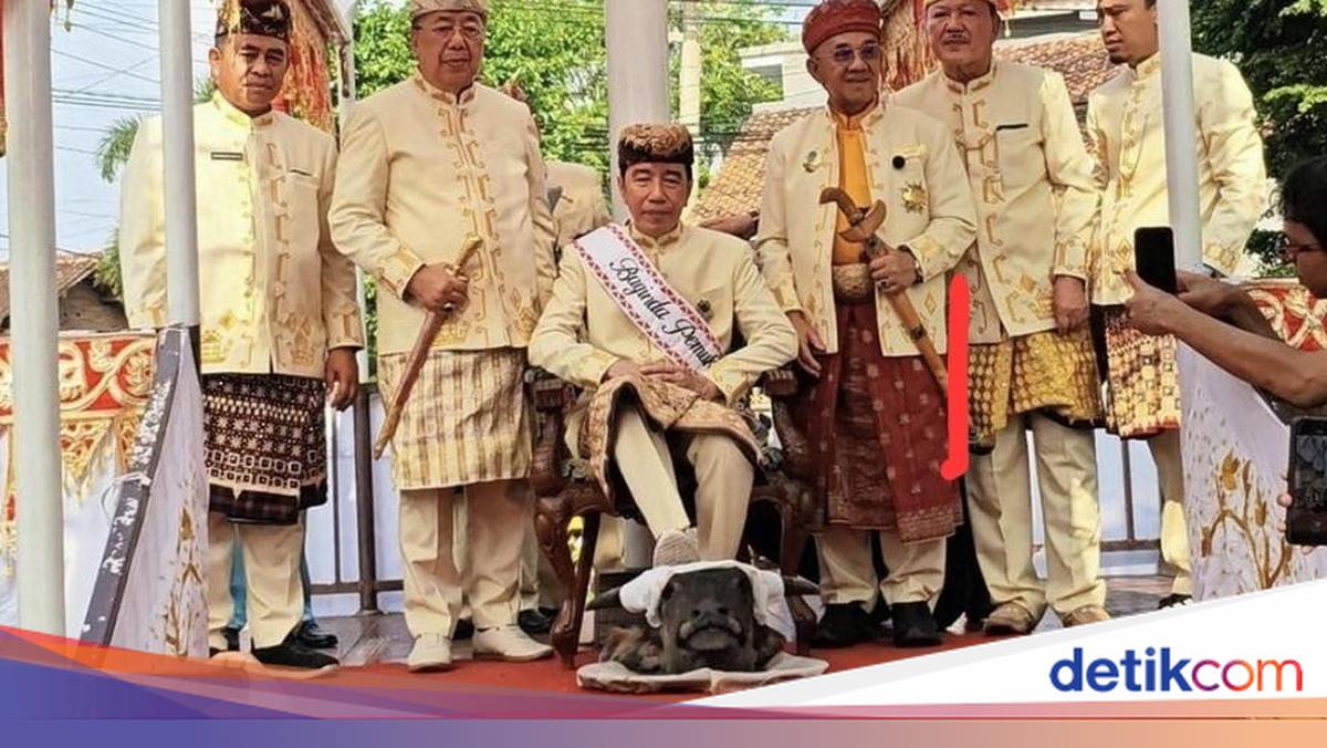 PDIP Tertawakan Jokowi Injak Kepala Kerbau, PSI Tuding Hina Adat Lampung