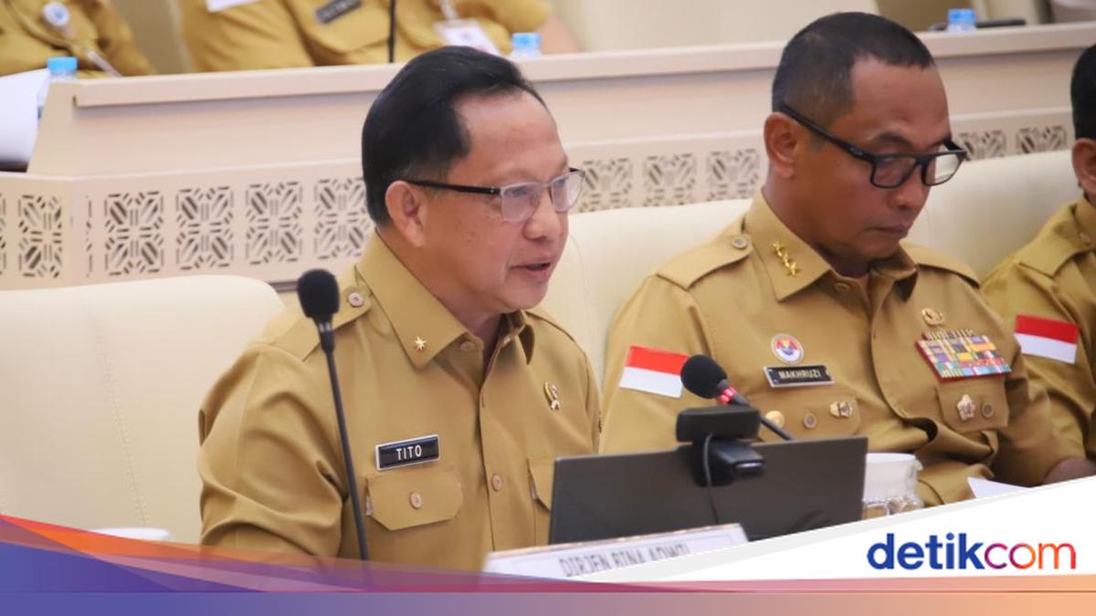 Mendagri Sambut Baik Panja Komisi II DPR RI untuk Penguatan Perbatasan