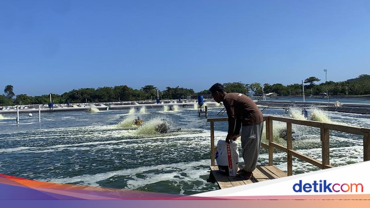 Cerita Rahmad Dapat Hidayah di Nusakambangan: Diajari Ngaji-Tambak Udang