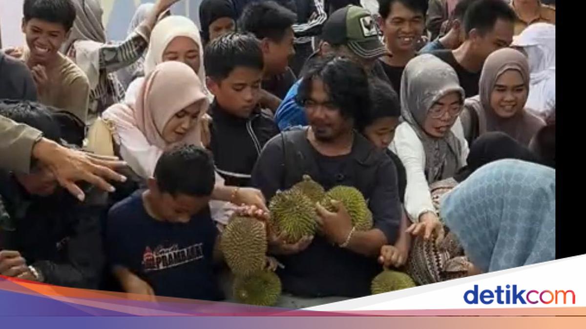 Festival Durian di Enrekang Ricuh gegara Pembeli Tiket Tak Kebagian