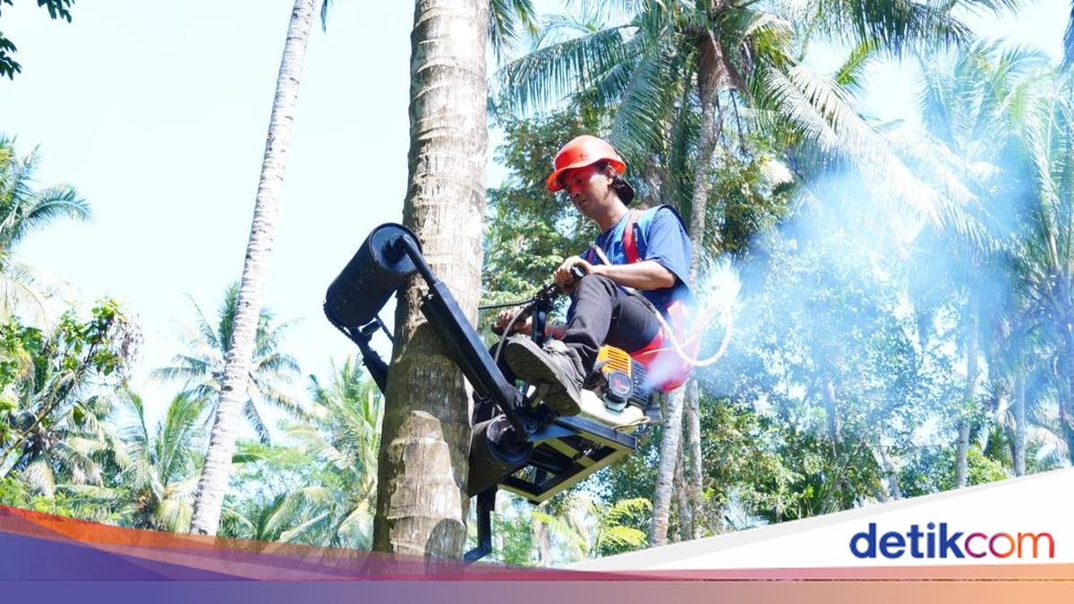 ITS Develops Innovative Palm Climbing Tool for Easier, Safer Harvesting