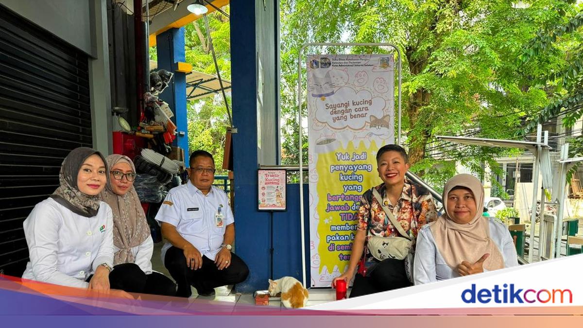 Pemprov DKI Perluas Program 'Traktir Kucing', Kini Ada di Pasar Santa