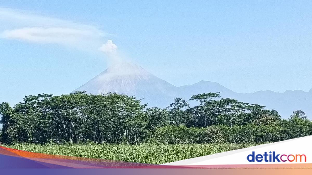 Semeru Erupsi dan Luncurkan Lava Pijar saat TNBTS Masih Terbakar