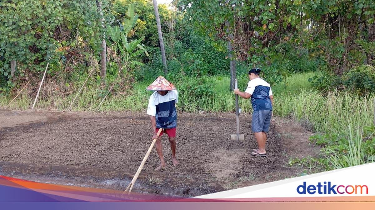 Astra Dampingi Desa Les Bali hingga Raih Juara Wisata Nasional