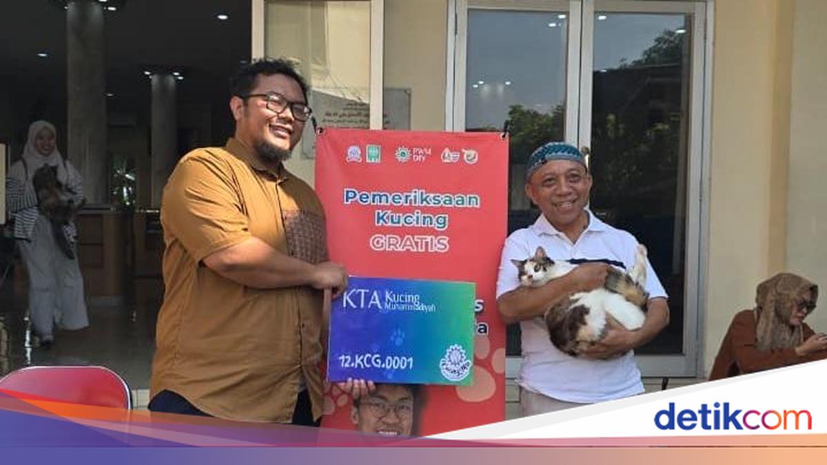 Messi Asal Jogja Jadi Kucing Pertama Pemilik Kartu Anggota Muhammadiyah