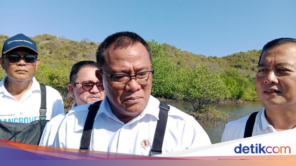 MenterI LH Bakal Tindak Penebangan Pohon Depan Lapangan Padel Bandung: Barbar!