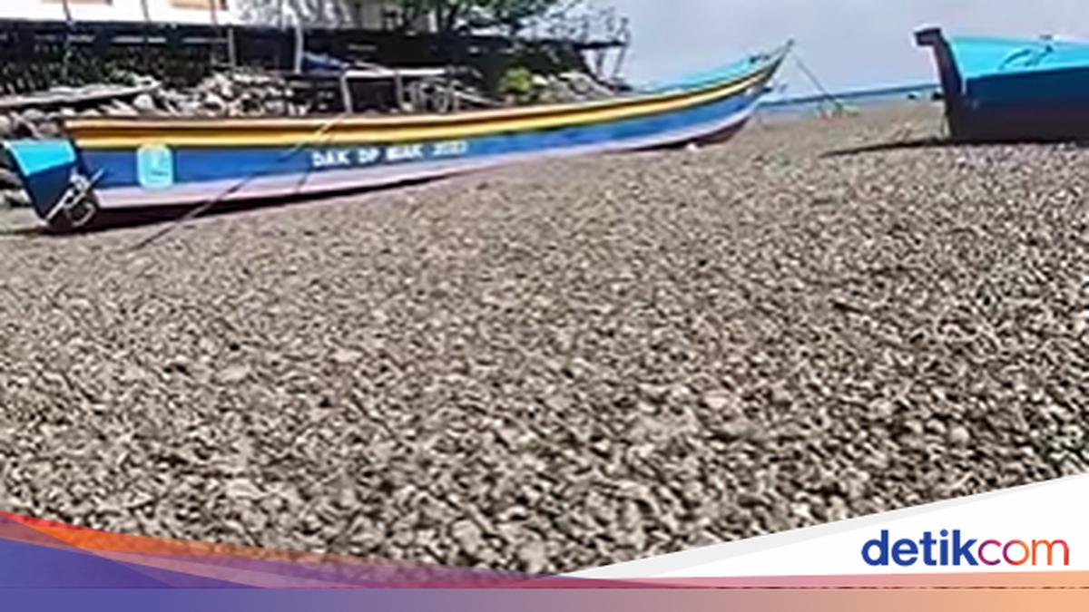 Viral Perairan di Papua Dipenuhi Batu Apung, BMKG: dari Gunung Api Bawah Laut