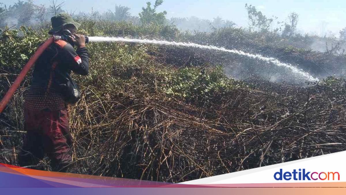 Karhutla di Kobar Kalteng, 8 Hektar Lahan Hangus Terbakar dalam 2 Hari