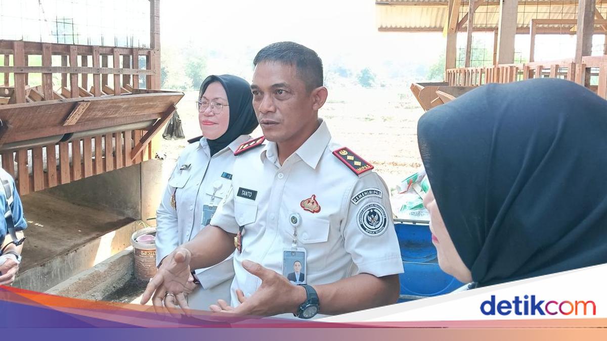 Kalapas Ciangir Cerita Ketahanan Pangan Imipas Bikin Lapas Produktif