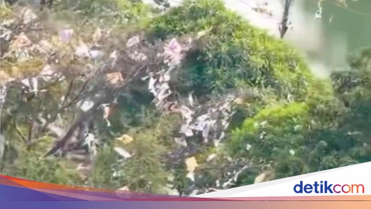 Pohon di Pinggir Kali Sunter Jakut Ini Jadi Sarang Layangan Nyangkut