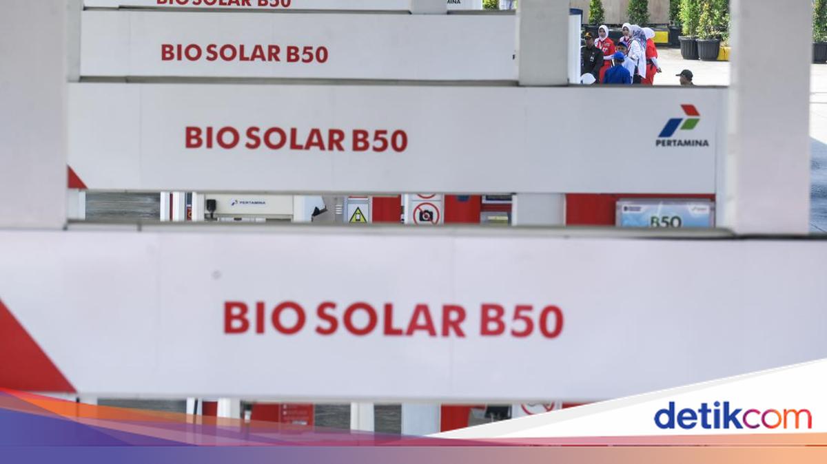 Bos Transporter Mengungkap Kesahihan dan Tantangan Menggunakan B50