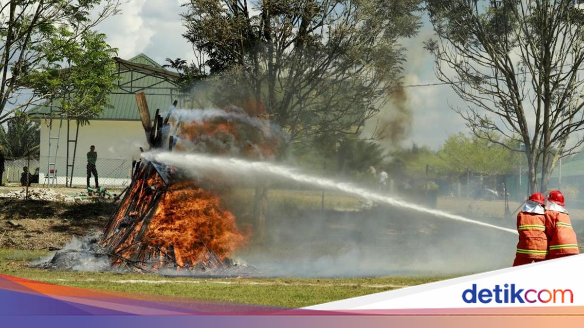 Wilmar Perkuat Kesiapsiagaan untuk Cegah Kebakaran Lahan Operasional
