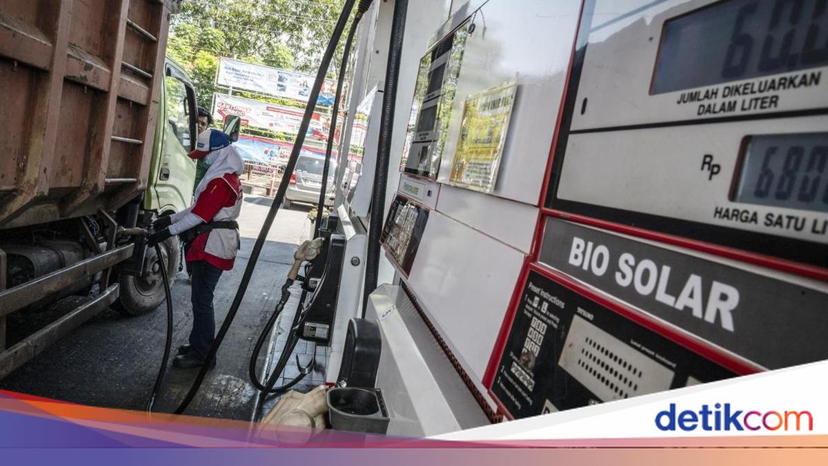 Kata Pengemudi Mobil Angkutan Usai Pakai B50