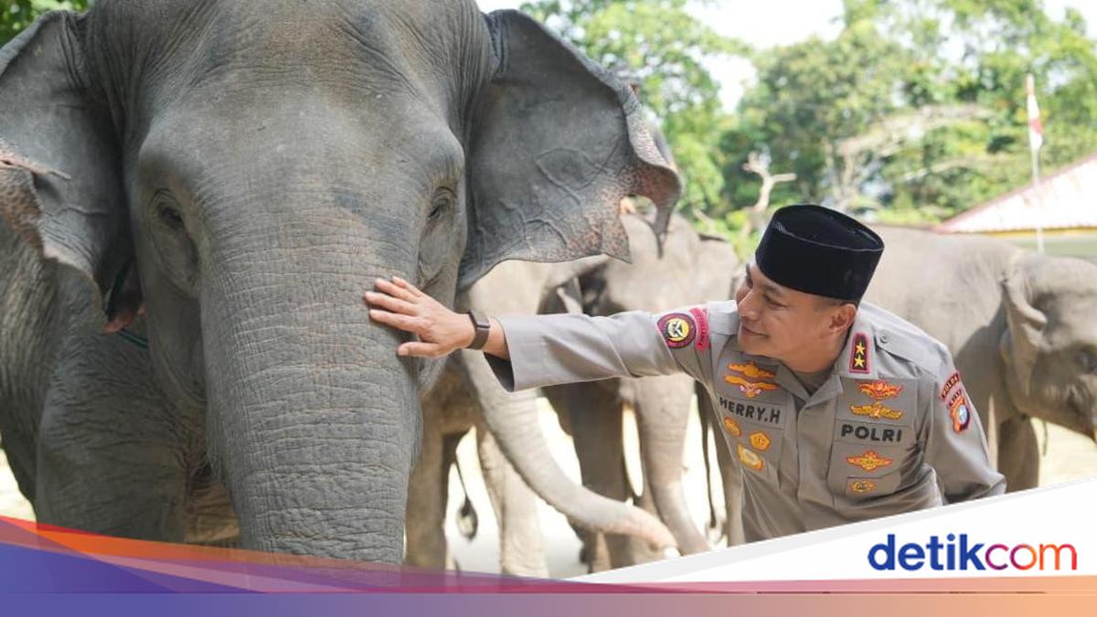 Raih detikSumatera Awards, Kapolda Riau: Jadi Pengingat untuk Terus Jaga Alam
