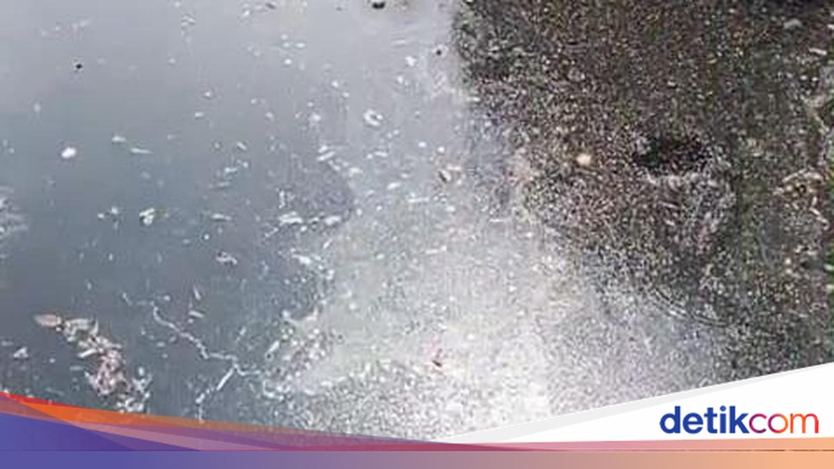 Warga Kopo Serang Keluhkan Sungai Cibeureum Jadi Bau Comberan