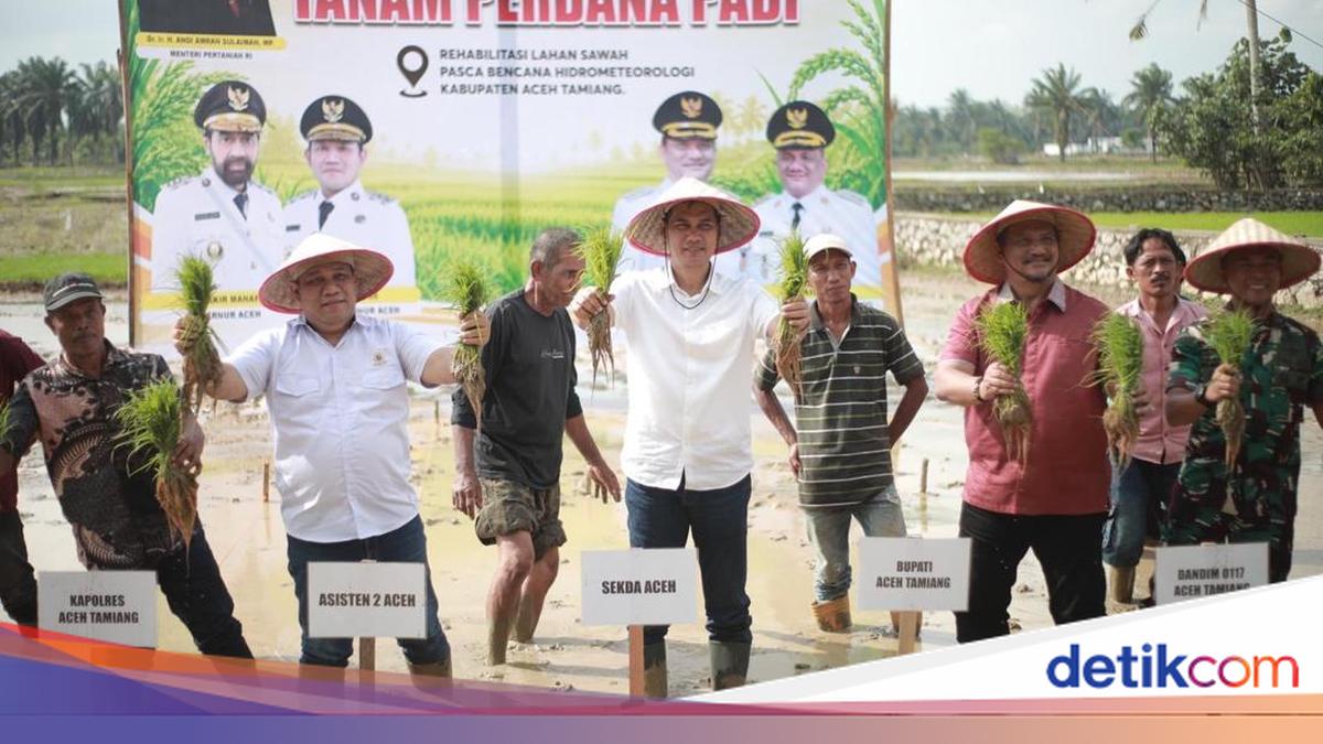 Lahan Pertanian di Aceh Kembali Ditanami, Sekda Apresiasi Satgas PRR