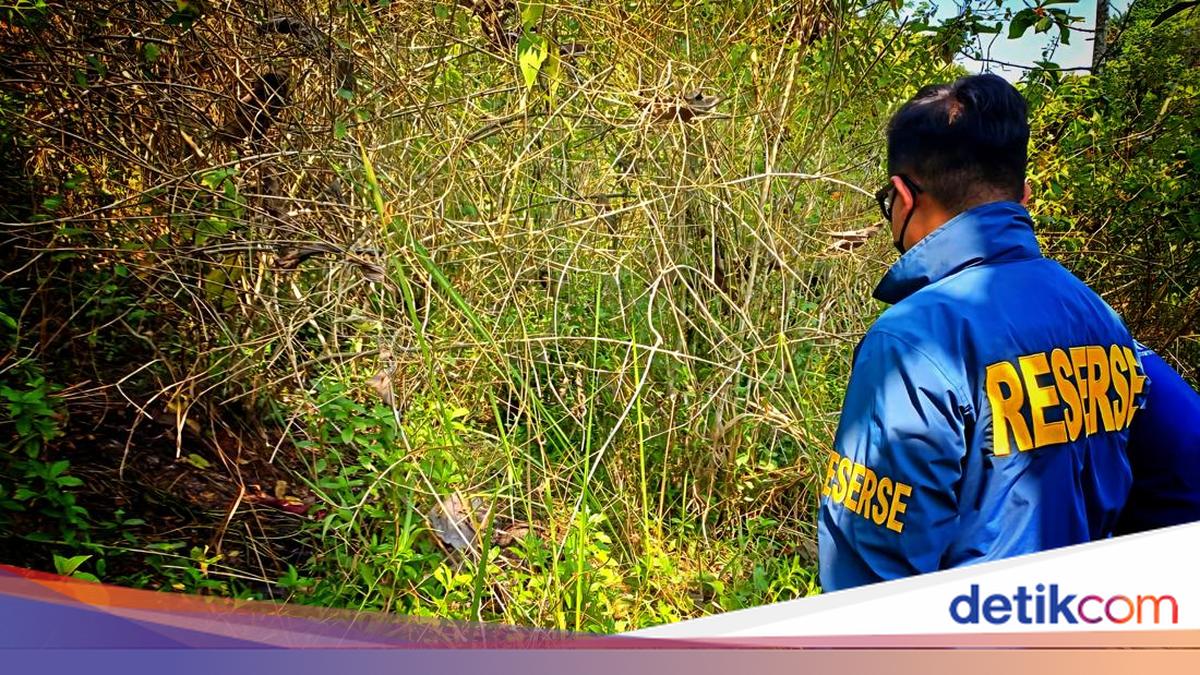 Geger Wanita Ditemukan Tinggal Kerangka di Sukabumi Ternyata Korban Pembunuhan