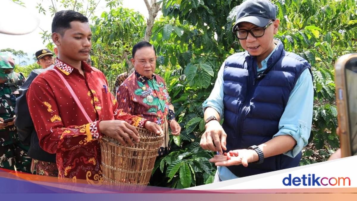 Gubernur Lampung Kenalkan Pupuk Hayati untuk Tingkatkan Produktivitas Kopi