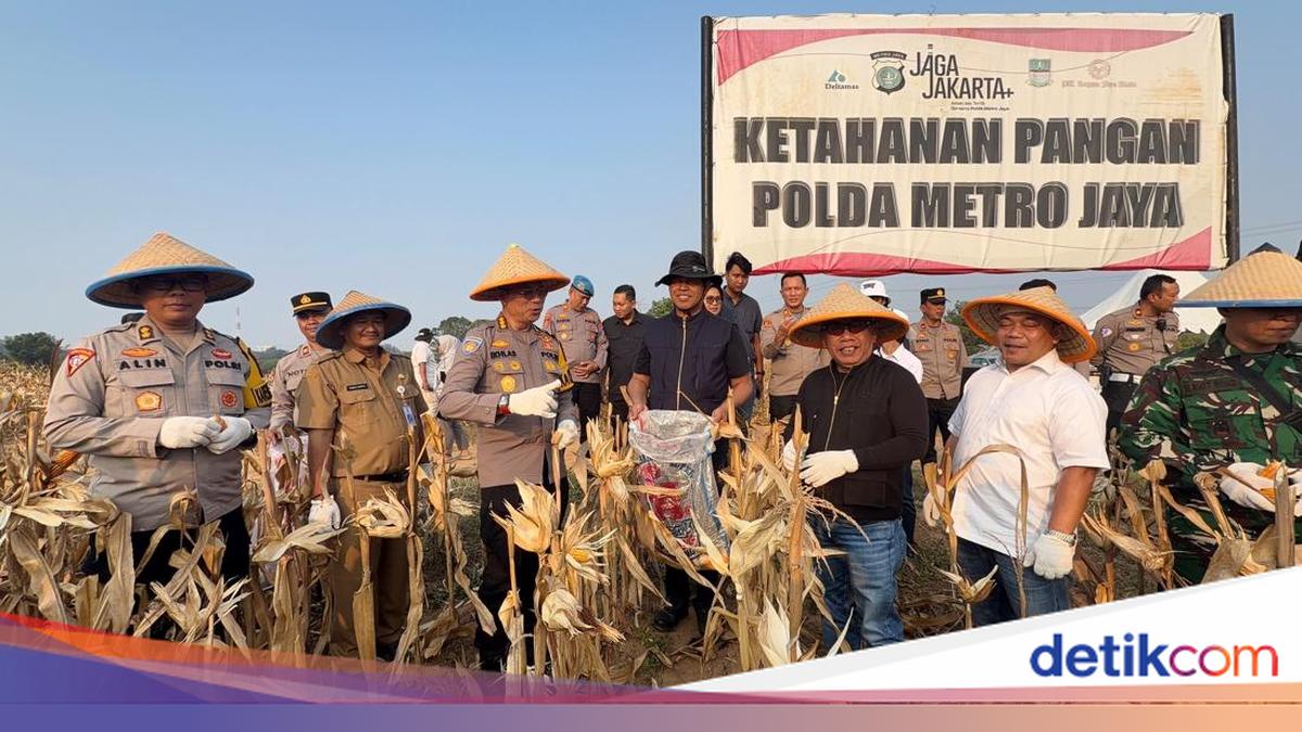 Dukung Ketahanan Pangan, Polres Bekasi Panen Raya 20 Ton Jagung