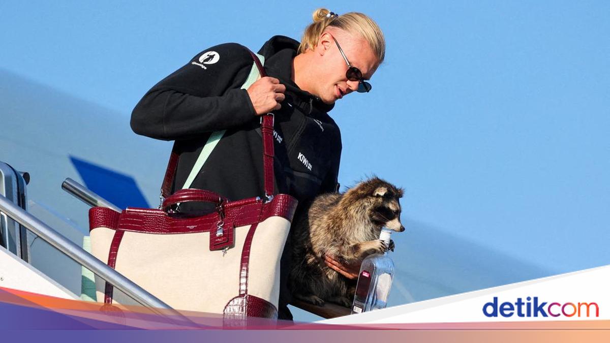 erling-haaland-bawa-pulang-suvenir-unik-dari-piala-dunia-2026