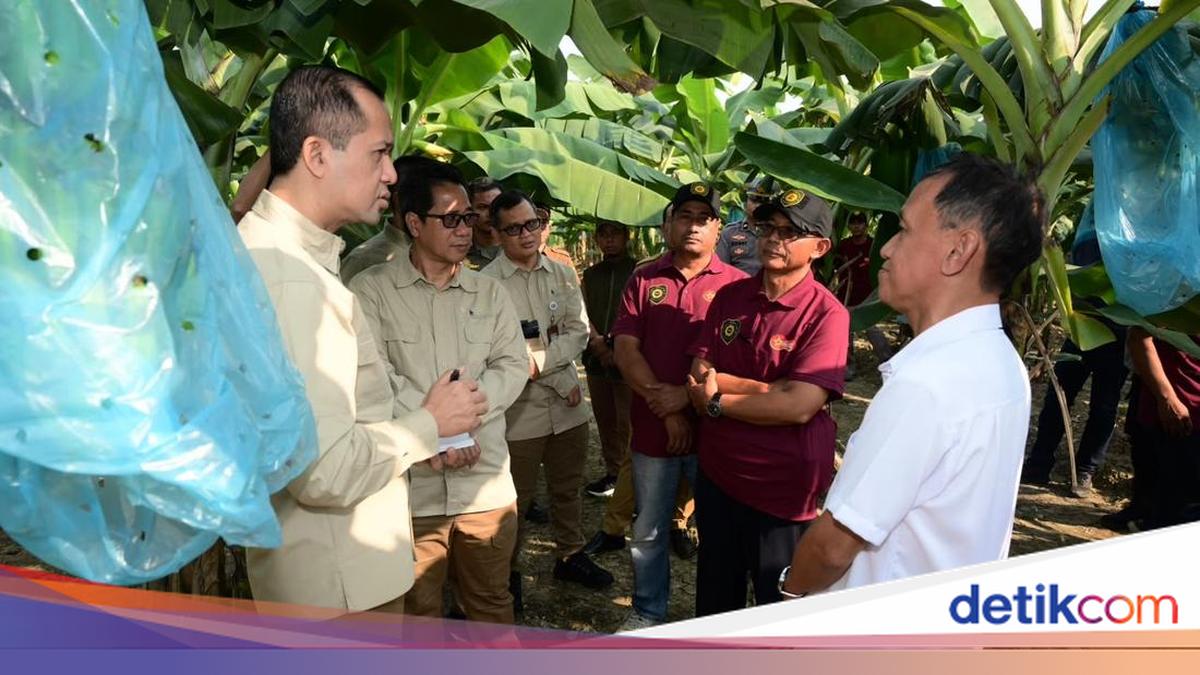 Mentrans Iftitah Dorong Komoditas Unggulan Perkuat Pangan Nasional