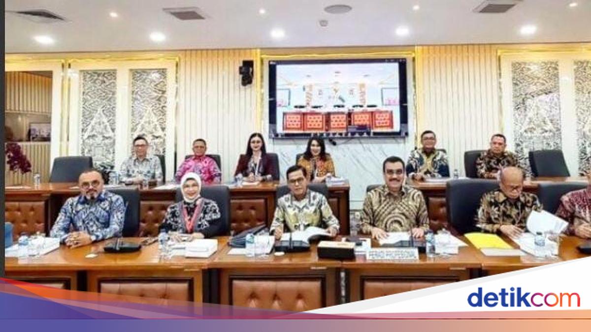 Di DPR, Peradi Profesional Dorong Antisipasi Hubungan Hukum Lintas Negara