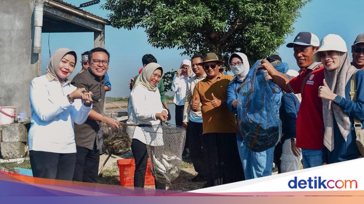 DPRD Puji Upaya Pemkot Surabaya Perbaiki Akses Tambak Medokan Ayu
