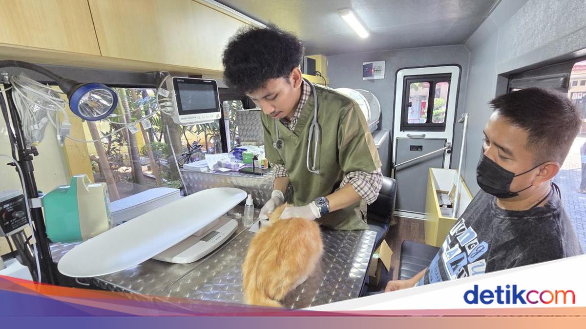 Lihat IG Pramono, Warga Langsung Bawa Kucing Sakit ke Klinik Hewan Keliling