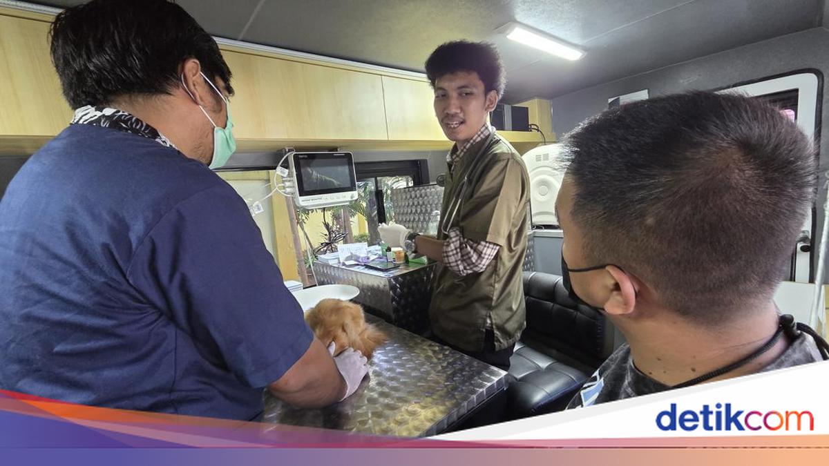 Cerita Dokter Obati Kambing hingga Iguana di Mobil Klinik Keliling