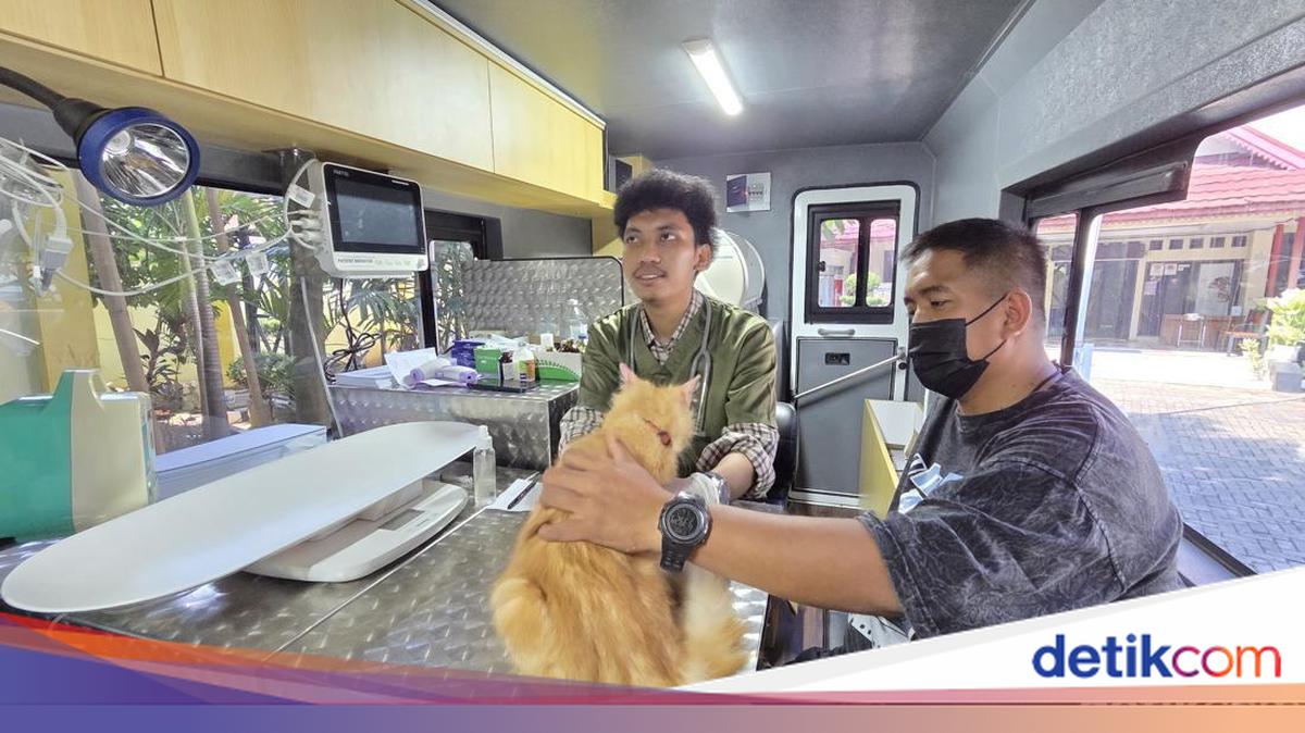 Klinik Hewan Keliling di Jakarta: Pasiennya Kucing hingga Kambing