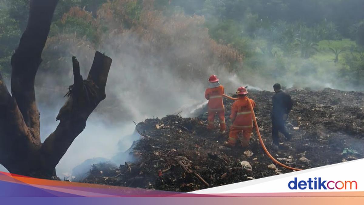 DLH Sanksi Pembakar TPS Ilegal di Cikeas, Wajib Bersihkan dan Pulihkan Lahan