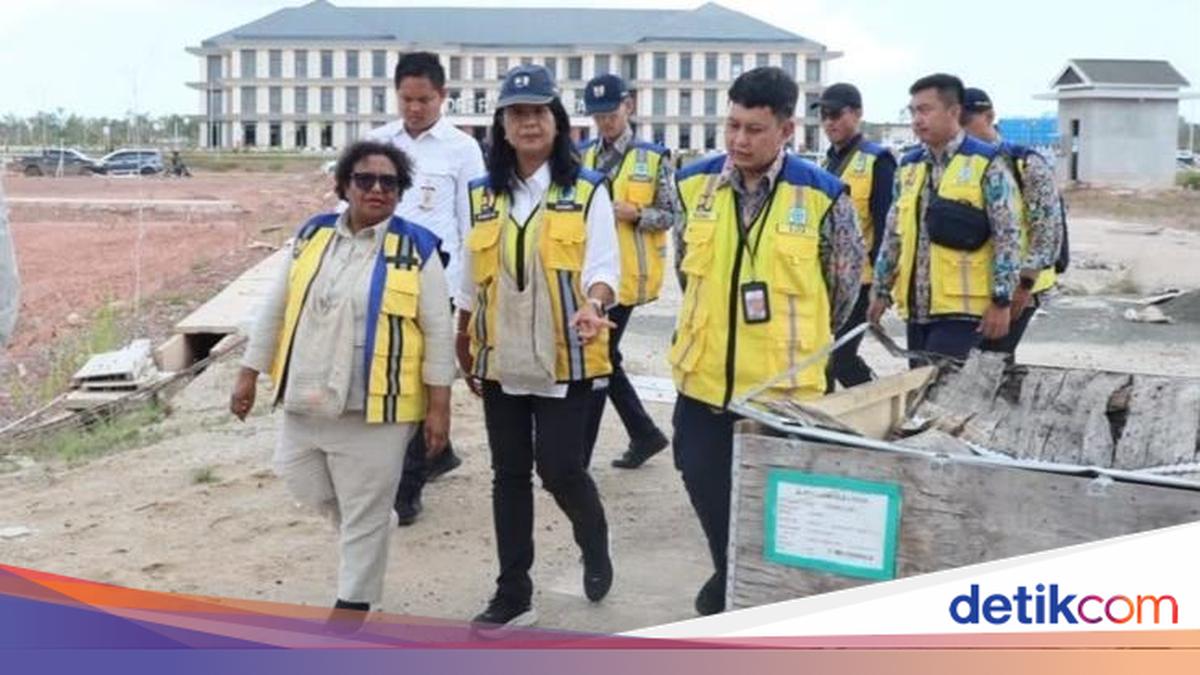 Wamendagri Cek Proyek Infrastruktur Papua Selatan, Pastikan Sesuai Target