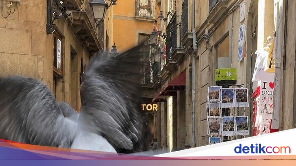 Momen Kebetulan di Jalanan Ini Terpotret Sempurna, Bikin Melongo