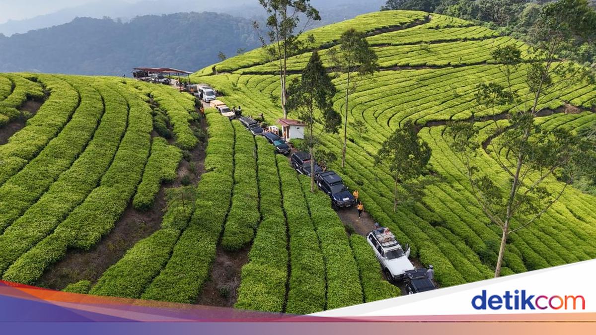 Penggila Garuk Tanah Toyota Land Cruiser Ngumpul!