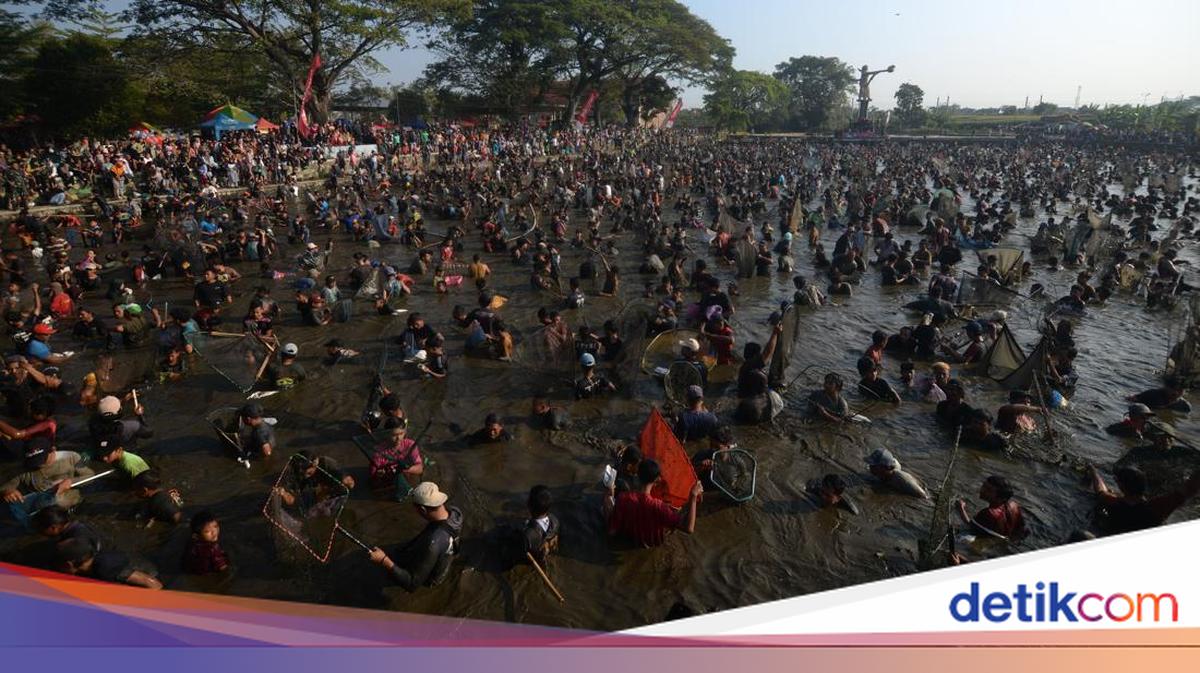 Ribuan Warga Serbu Festival Memet Ikan 2026, Dua Ton Ikan Ludes Jadi Rebutan