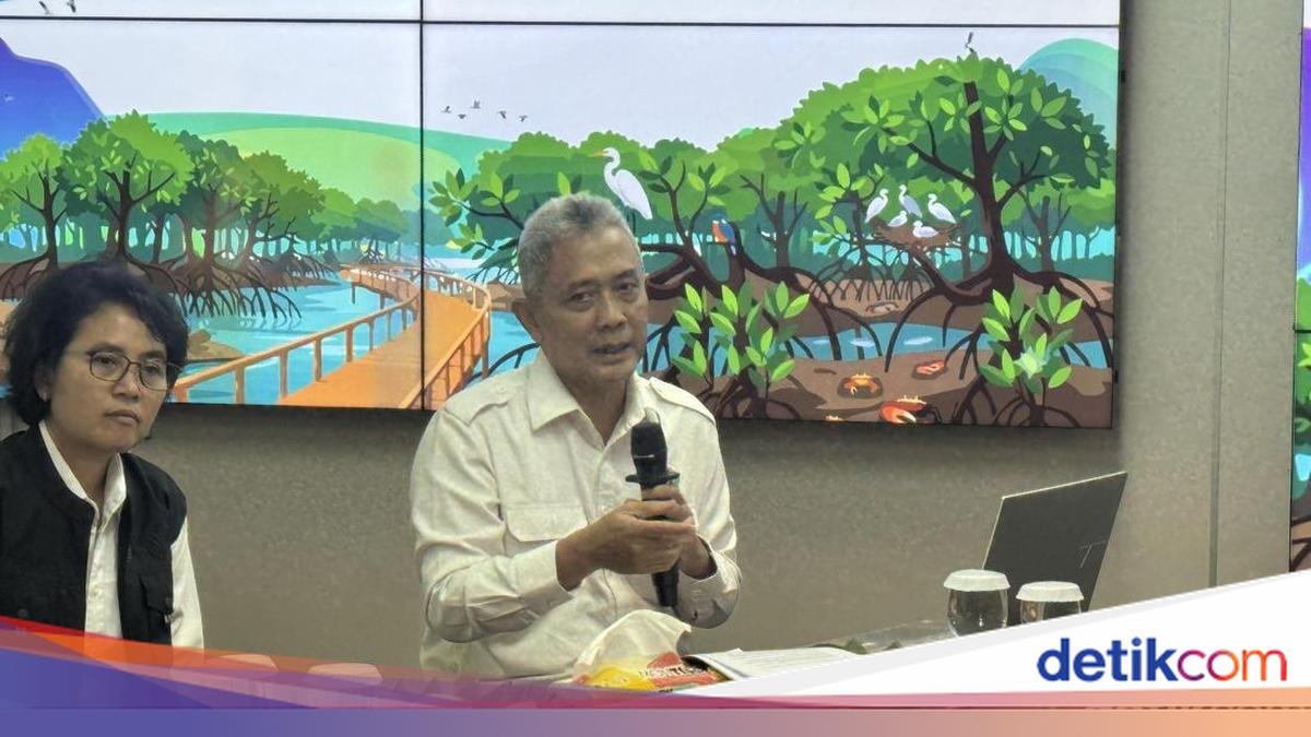 KLH Evaluasi Kawasan Bencana Sumatera, Kirim Rekomendasi Tata Ruang ke BPN