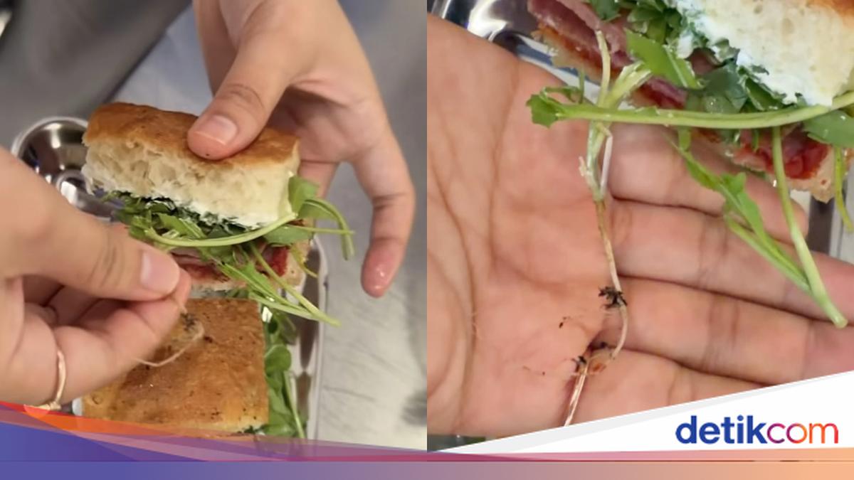 Beli Sandwich Rp 77 Ribu, Wanita Ini Dapat 'Bonus' Akar Tanaman dan Tanah