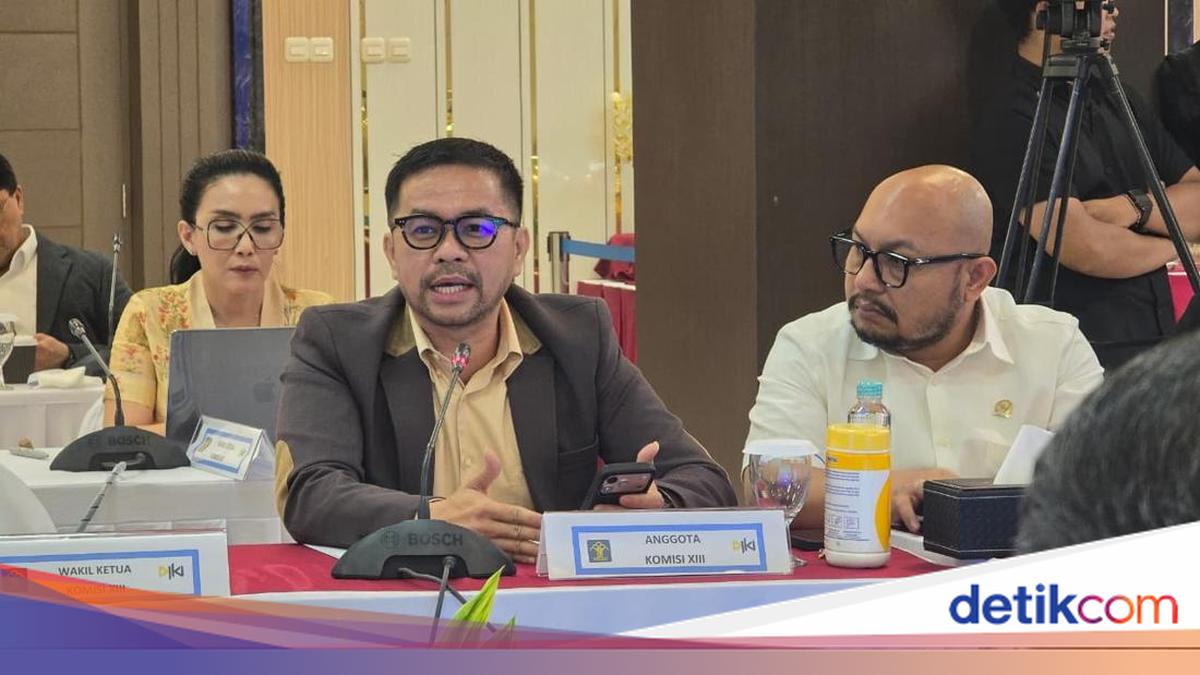 Anggota Komisi XIII DPR Usul RI Segera Miliki Undang-Undang tentang AI