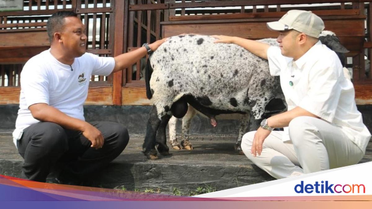 Lihat Pembinaan Napi Lapas Karawang, Irfan Hakim Teteskan Air Mata