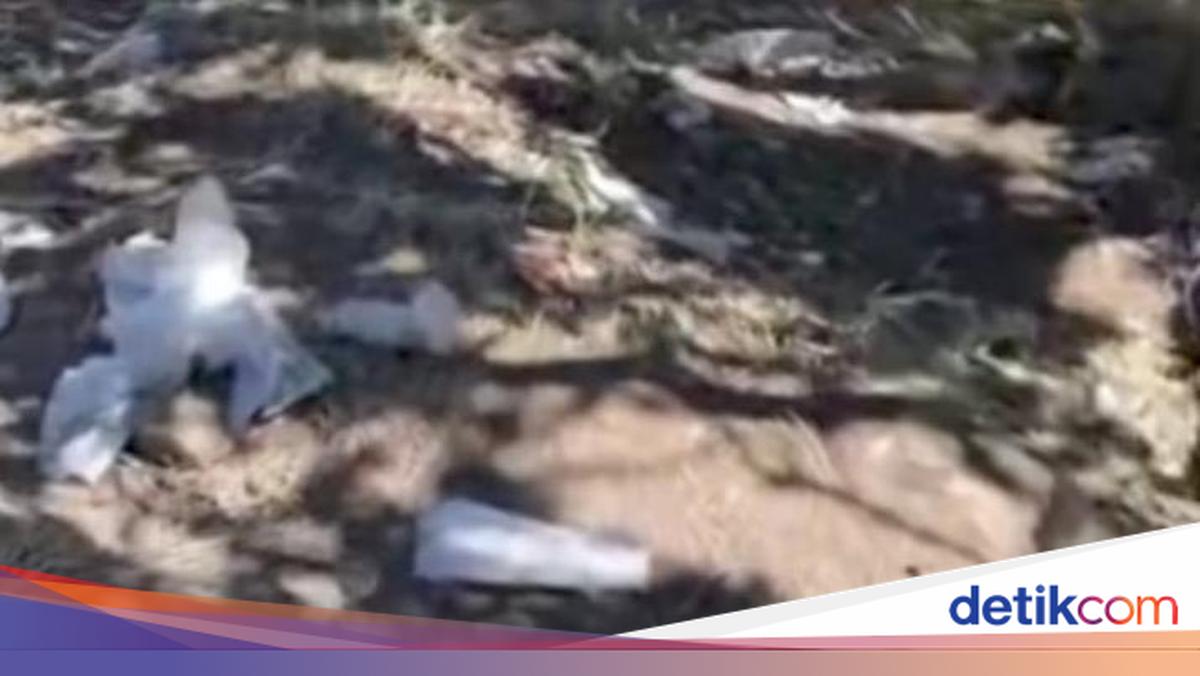 Viral Sampah Berserakan di Puncak Gunung Sumbing, Terbanyak Tisu Basah