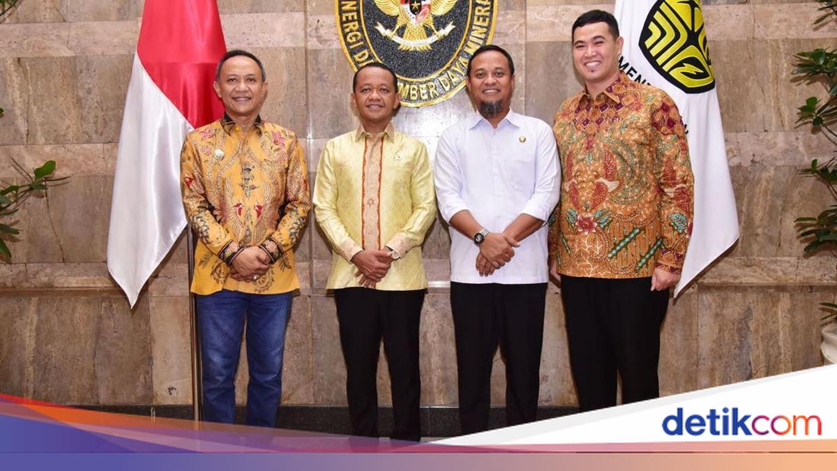 Temui Menteri ESDM, Gubernur Sulsel Usul Listrik Masuk Desa Terpencil-Pulau