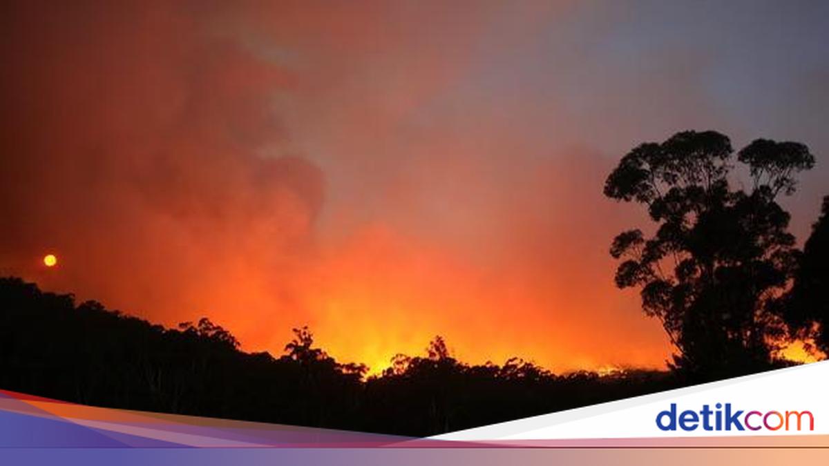 Bencana Kebakaran Hutan yang Bikin Australia Gelap