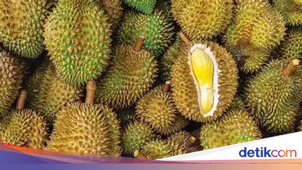 Fantastis! Daftar 5 Durian Termahal di Dunia, Ada yang Rp862 Juta