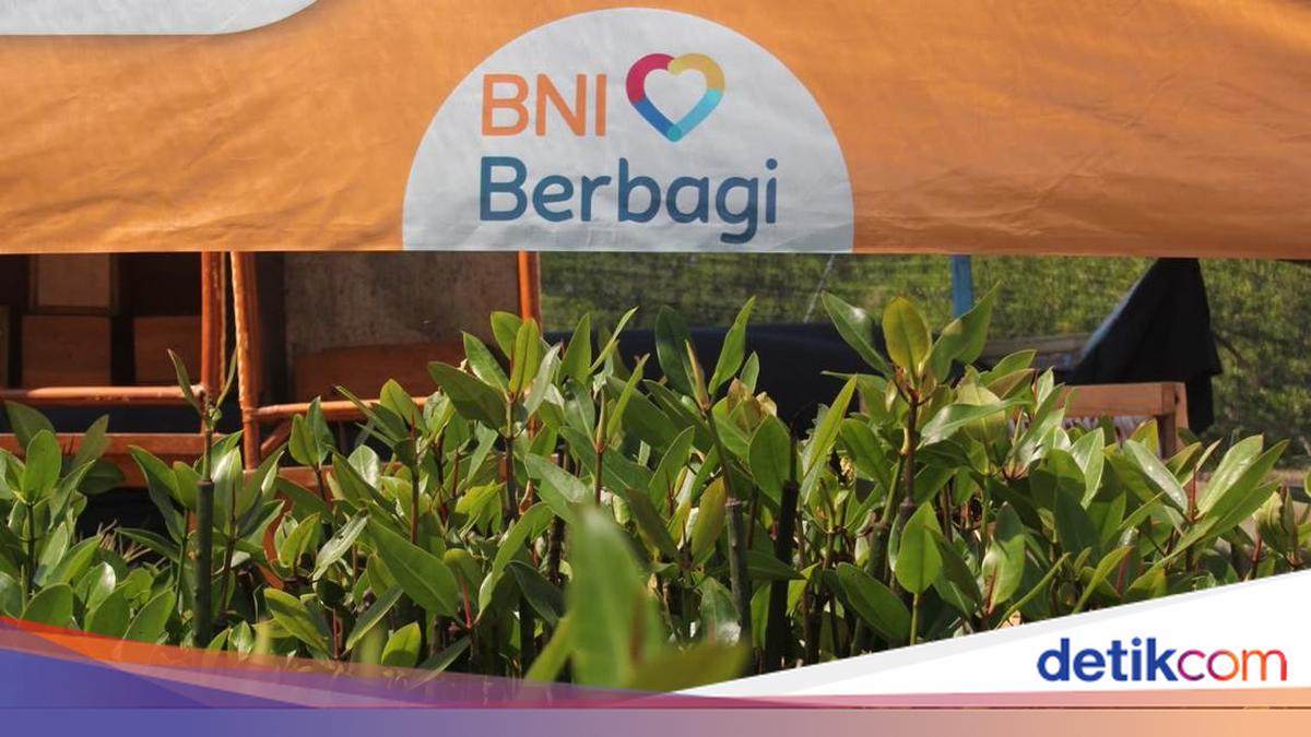 Hari Mangrove Sedunia, BNI Perkuat Pelestarian Lingkungan &amp; Ekonomi Pesisir