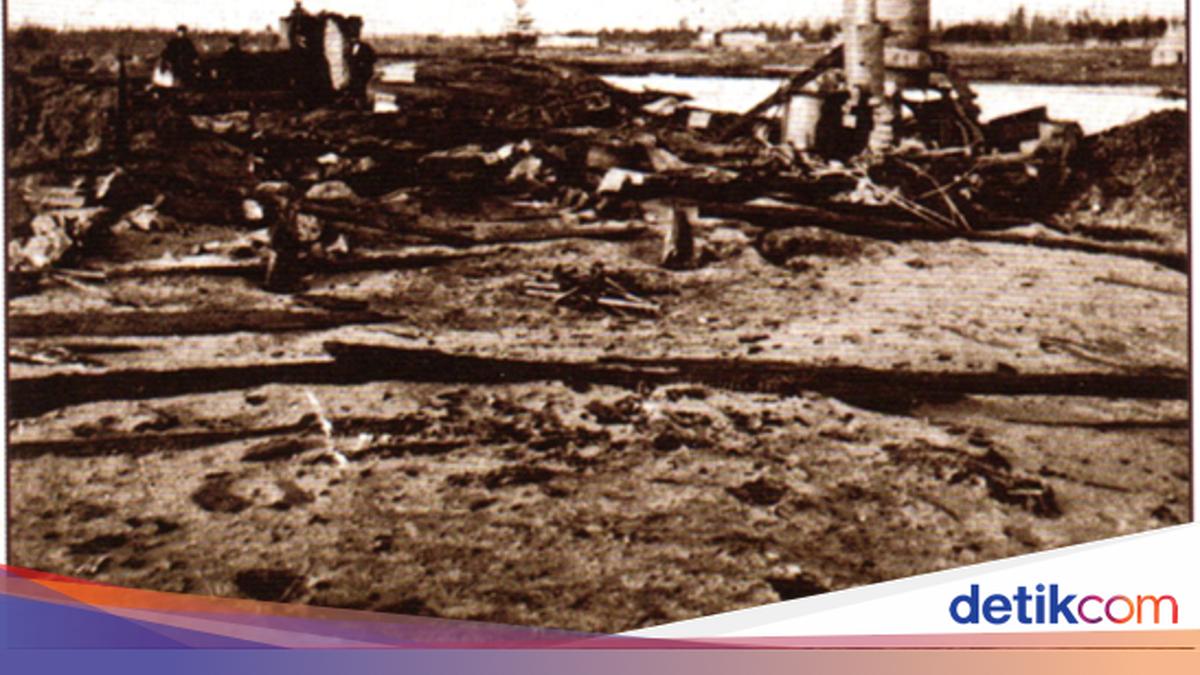 Bencana Kebakaran Hutan 3 Hari yang Tewaskan 2.400 Orang